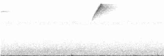 White-throated Daggerbill - ML216721051