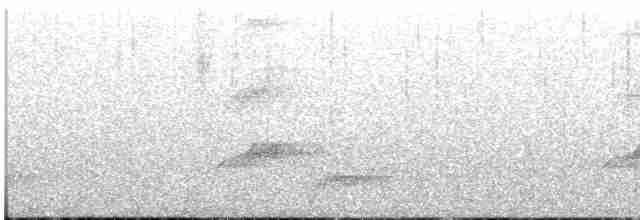 Eurylaime de Gould - ML216721281