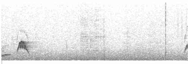 Сичик-горобець андійський - ML216735571