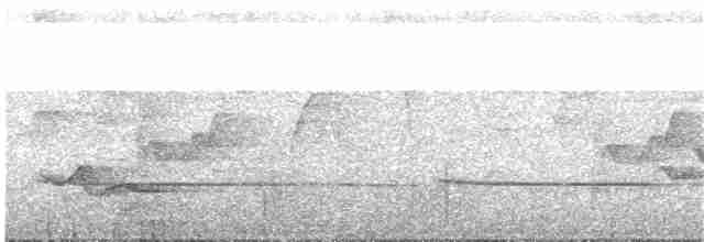 Tüpfelkronen-Ameisenvogel - ML216782231