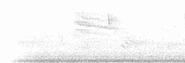 Cerulean Warbler - ML216850