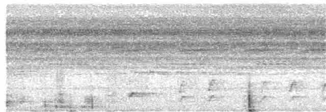 Bändernachtschwalbe - ML216851561