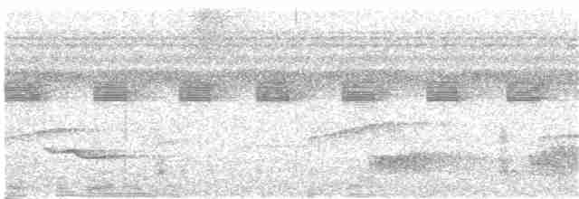 Small-billed Tinamou - ML21685251