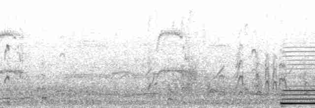 Северная качурка (leucorhoa) - ML216883