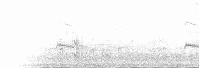 白腰叉尾海燕(leucorhoa) - ML216886