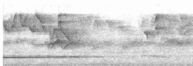 Rufous-throated Partridge - ML216916321