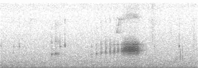 Kestane Taçlı Kotinga - ML216931881
