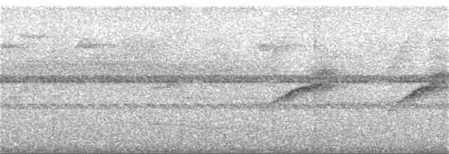 Streifenfaulvogel - ML216933851