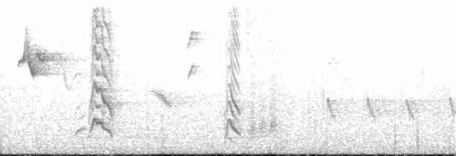 Souimanga de Gould (dabryii) - ML216983181