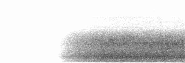 Swallow-tailed Nightjar - ML216983901