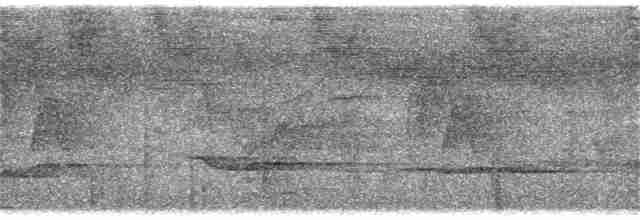 Манишковый дрозд (daguae) - ML216996101