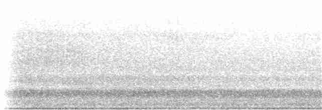 dřemlík tundrový (ssp. columbarius) - ML217003761