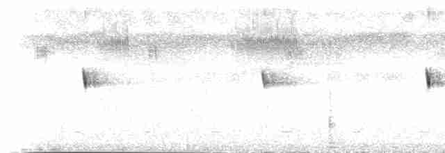 Scissor-tailed Nightjar - ML217024