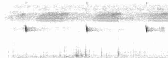 Scissor-tailed Nightjar - ML217025