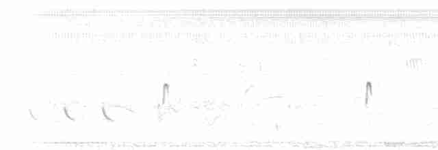 Vanneau téro (lampronotus) - ML217029