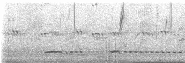 Small-billed Tinamou - ML217047