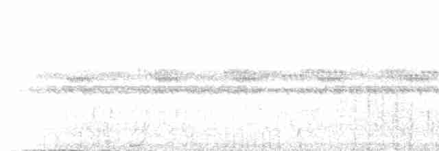 rustpannetornfugl (rufifrons gr.) - ML217058