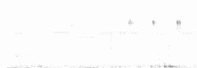Graustirn-Dickichtschlüpfer - ML217064