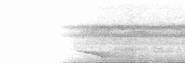 Black-capped Tinamou - ML217065111