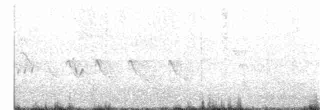 Ev Çıtkuşu (grenadensis) - ML217094441