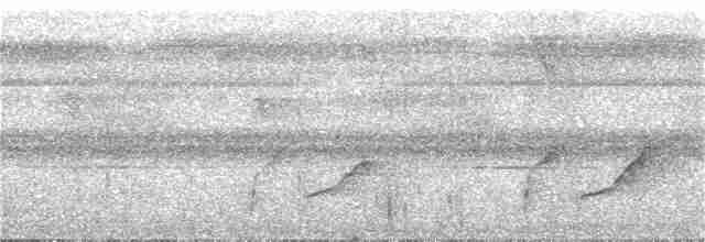 Zimtparadiesschnäpper (cinnamomea/talautensis) - ML217101391