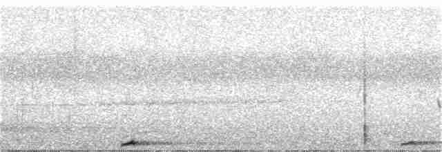 Синеголовая земляная ракша - ML217105621