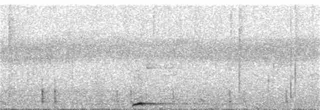 Синеголовая земляная ракша - ML217105631