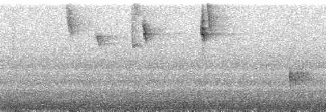 Alev Suratlı Tangara (parzudakii/urubambae) - ML21711