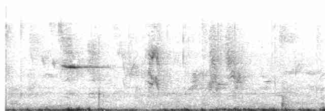 Трав’янка сіра - ML217155011