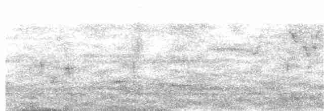 White-browed Shrike-Babbler (Himalajawürgervireo) - ML217161731