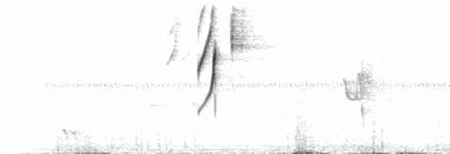 Sivri Gagalı Sepetören - ML217165