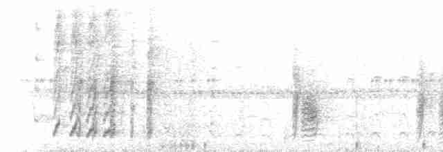 rustpannetornfugl (rufifrons gr.) - ML217171
