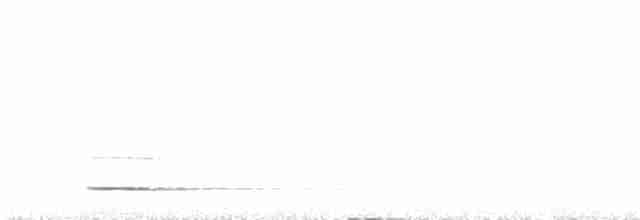 Сичик-горобець євразійський - ML217182411