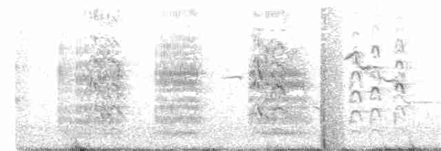 Крячок рябодзьобий - ML217190061
