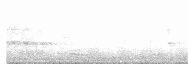Длиннохвостый крапивник - ML217218261