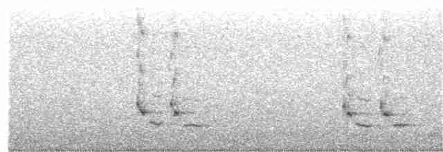 Loggerhead Shrike - ML217225311