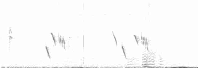 Gray Wren-Warbler - ML217232971