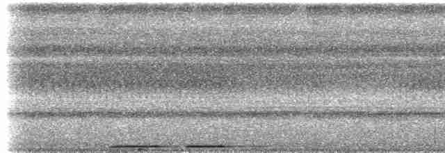 holub ametystový - ML217242