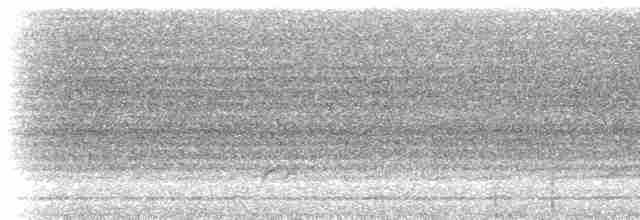 Синеголовая веерохвостка - ML217262