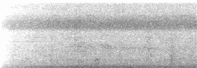 gittermaurvarsler - ML217298471