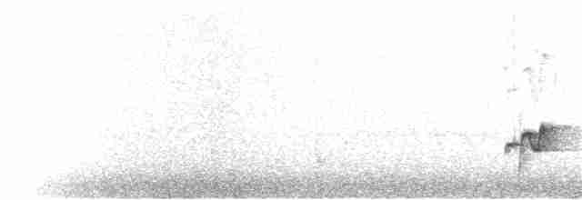 Серогрудый крапивник - ML217300621
