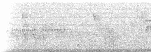 Тиранчик-короткодзьоб південний - ML217322
