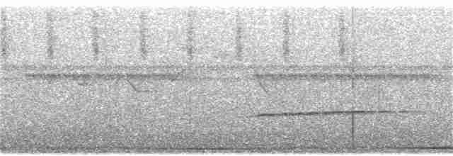 Яструб сірочеревий - ML217335441