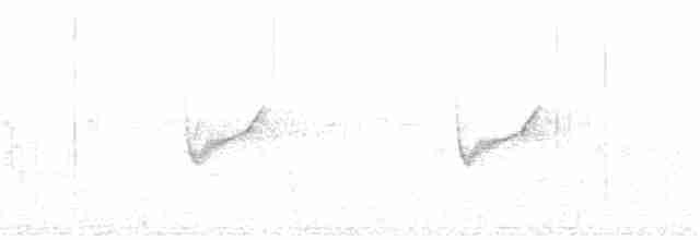 Віреон короткодзьобий - ML217337101