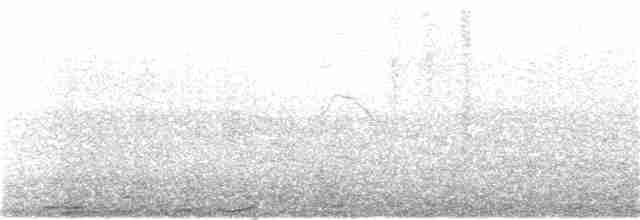 svartsteinvender - ML217340411