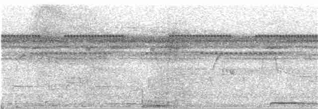 Борнейская воронья кукушка - ML217350001