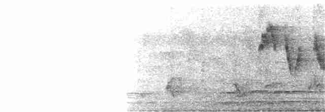 Лусонская белоглазка - ML217380311