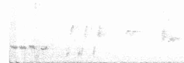 Пронурок сірий - ML217437911