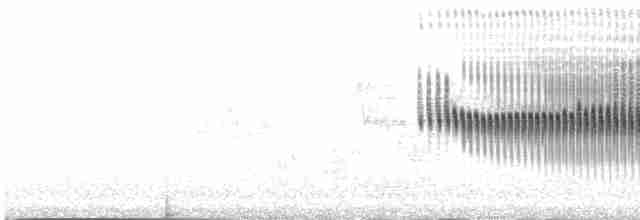 Kısa Gagalı Sepetören - ML217476