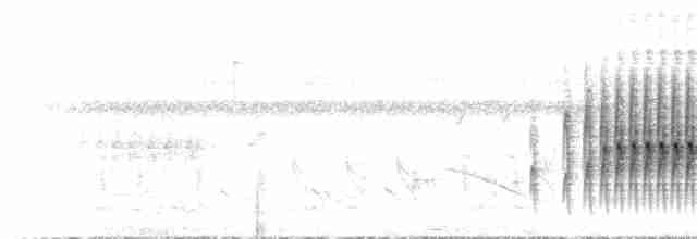Tepeli Çömlekçikuşu - ML217485